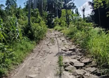 Salah satu ruas jalan Kecamatan Huta Bayu Raja, Kabupaten Simalungun yang sudah lama tidak tersentuh pembangunan dan perbaikan.(Simantab/Putra Purba)