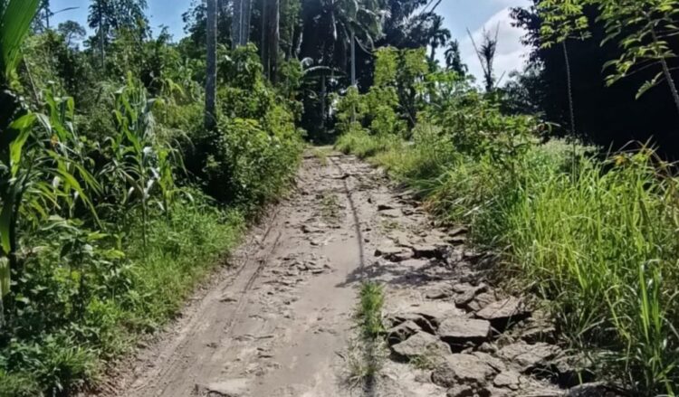 Salah satu ruas jalan Kecamatan Huta Bayu Raja, Kabupaten Simalungun yang sudah lama tidak tersentuh pembangunan dan perbaikan.(Simantab/Putra Purba)