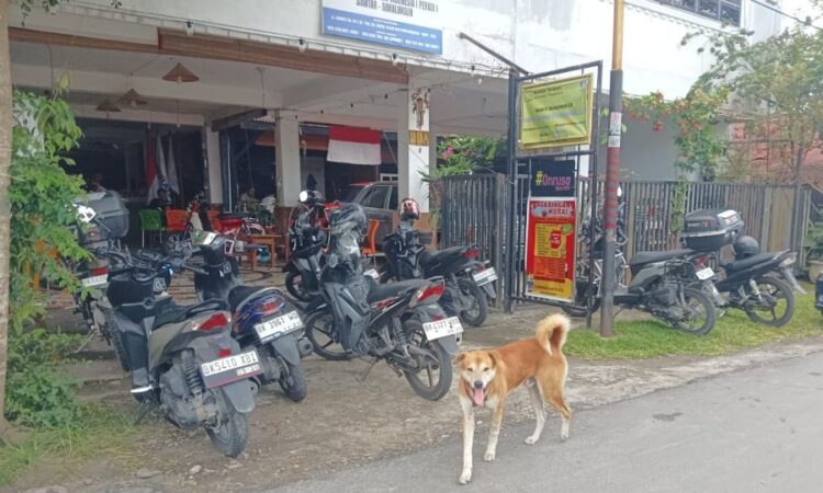 Seekor anjing terlihat bebas berkeliaran di jalanan. Lonjakan kasus gigitan rabies di Simalungun salah satunya dipicu hewan peliharaan yang dilepas tanpa pengendalian.(Simantab/Putra Purba)
