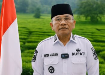 Bupati Simalungun Anton Achmad Saragih.(Simantab/ist)