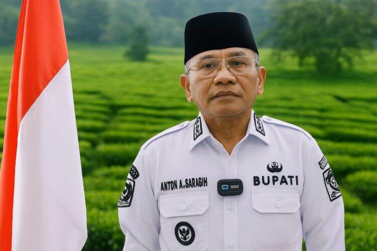 Bupati Simalungun Anton Achmad Saragih.(Simantab/ist)
