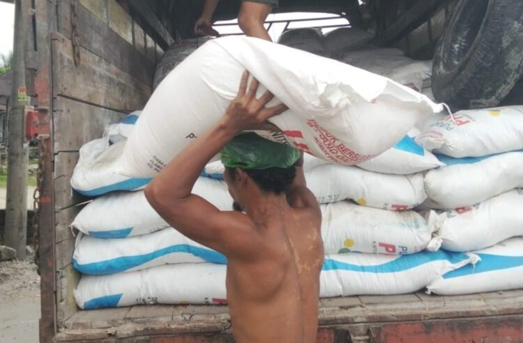 Para pekerja membongkar pupuk bersubsidi dari truk pengangkut untuk didistribusikan ke gudang pengecer di Nagori Sejahtera, Kecamatan Siantar, Kabupaten Simalungun.(Simantab/Putra Purba)