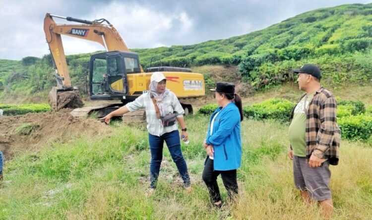 Pemkab Simalungun dan PTPN IV tinjau dan atasi banjir di areal kebun teh Sidamanik.(Simantab/ist)