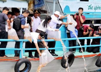 Bupati Simalungun Anton Saragih (topi putih) dan Wakil Bupati Simalungun Benny Sinaga (topi hitam) kompak menebar benih ikan di Danau Toba.(Simantab/ist)