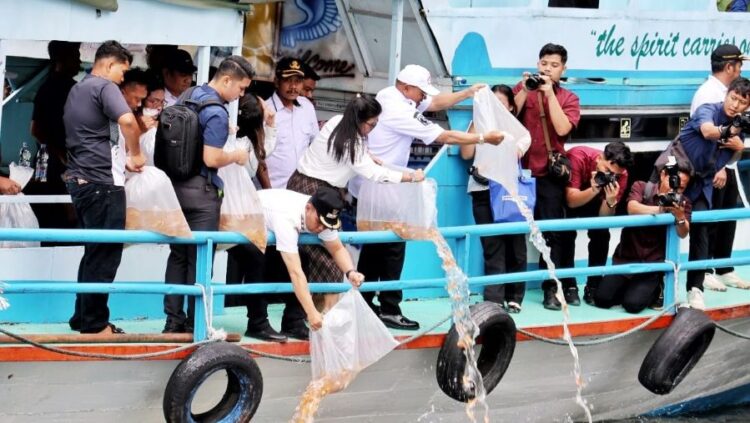 Bupati Simalungun Anton Saragih (topi putih) dan Wakil Bupati Simalungun Benny Sinaga (topi hitam) kompak menebar benih ikan di Danau Toba.(Simantab/ist)