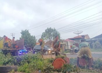 Sejumlah pekerja mengangkat potongan kayu mahoni ke atas truk di Jalan Asahan, Kecamatan Siantar, Kabupaten Simalungun. (Simantab/Putra Purba)