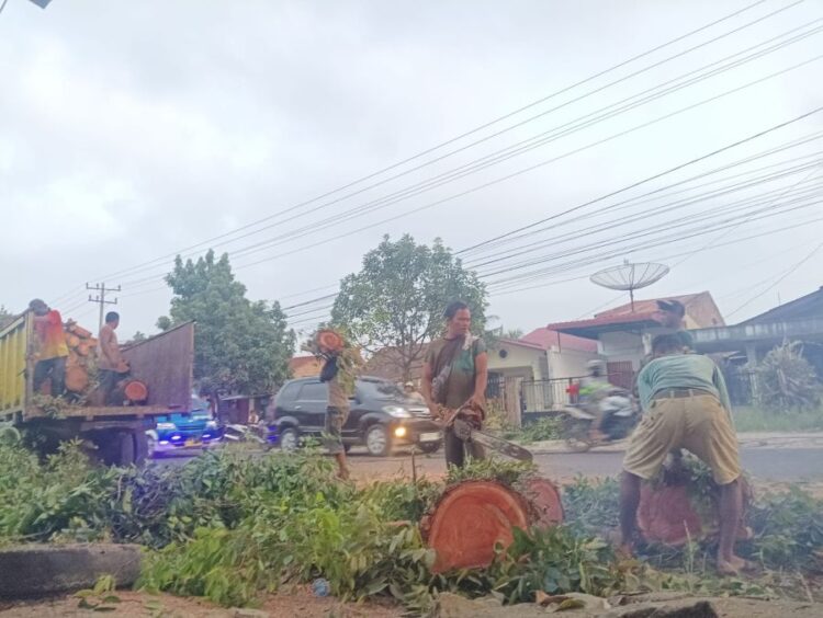 Sejumlah pekerja mengangkat potongan kayu mahoni ke atas truk di Jalan Asahan, Kecamatan Siantar, Kabupaten Simalungun. (Simantab/Putra Purba)